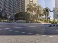 an empty city street with two traffic lights on it and palm trees in the background