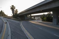 a road running next to a freeway that has palm trees on it, and a highway sign