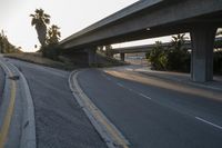 a road running next to a freeway that has palm trees on it, and a highway sign