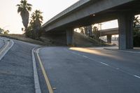 a road running next to a freeway that has palm trees on it, and a highway sign