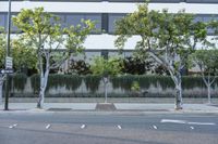 Los Angeles Glass Wall Office Building: A Profile View