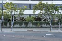 Los Angeles Glass Wall Office Building: A Profile View