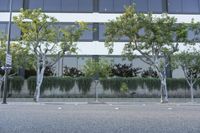 Los Angeles Glass Wall Office Building: A Profile View