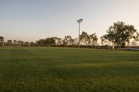 Los Angeles Grassy Soccer Field 001