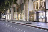 a storefront on an urban street next to palm trees at night time with one street light shining