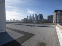 Los Angeles High-Rise: Overlooking the Urban City