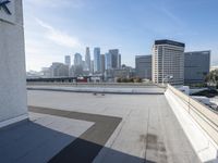 Los Angeles High-Rise: Overlooking the Urban City