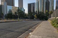 the road is empty, there are trees, bushes and other skyscrapers in the background