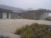 Los Angeles Home: Concrete Yard under a Gloomy Sky