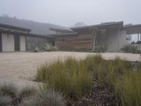 Los Angeles Home: Concrete Yard under a Gloomy Sky