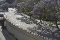 Los Angeles: An Iconic Cityscape with Blossom Trees