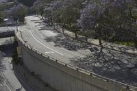Los Angeles: An Iconic Cityscape with Blossom Trees