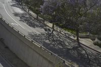 Los Angeles: An Iconic Cityscape with Blossom Trees