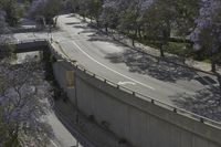Los Angeles: An Iconic Cityscape with Blossom Trees