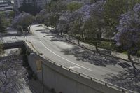 Los Angeles: An Iconic Cityscape with Blossom Trees
