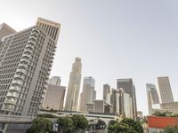 a city view with tall buildings and lots of trees and cars driving through it and traffic in the foreground