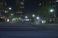 a view of the street at night in front of the city lights and buildings, looking toward one of two street lights