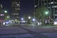 a view of the street at night in front of the city lights and buildings, looking toward one of two street lights