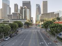 Los Angeles Metropolitan Area: Skyscrapers and Cityscape