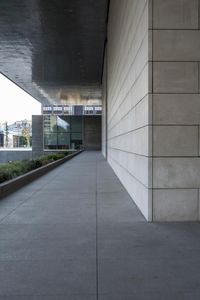 an empty walkway outside of a concrete building with large windows and plants near by onlookers