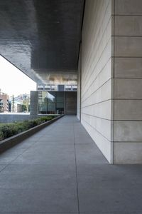 an empty walkway outside of a concrete building with large windows and plants near by onlookers