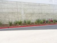 a red fire hydrant is near a wall with plants around it with the fire hydrant on the left side of the wall