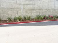 a red fire hydrant is near a wall with plants around it with the fire hydrant on the left side of the wall