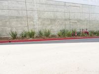 a red fire hydrant is near a wall with plants around it with the fire hydrant on the left side of the wall