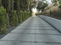 the exterior and landscape of a modern house in los angeles, california with stone and wood