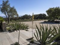 a patio area with plants on it and the driveway and driveway side of a home