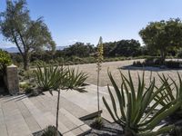 a patio area with plants on it and the driveway and driveway side of a home