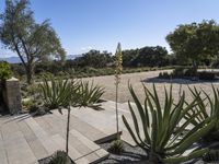 a patio area with plants on it and the driveway and driveway side of a home