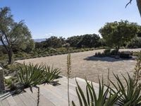 a patio area with plants on it and the driveway and driveway side of a home