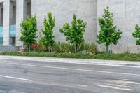 trees near a building behind a red truck with green leaves on the side of it