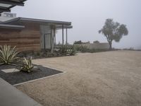 a home with a large driveway and gravel in front of it in the fog with large cactus like plants near the driveway