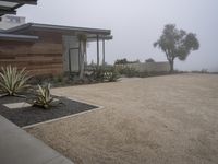 a home with a large driveway and gravel in front of it in the fog with large cactus like plants near the driveway