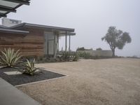 a home with a large driveway and gravel in front of it in the fog with large cactus like plants near the driveway