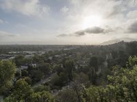 Los Angeles Morning View 001