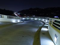 Los Angeles Night Cityscape with Clear Sky