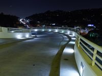 Los Angeles Night Cityscape with Clear Sky