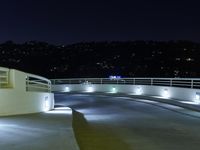 Los Angeles Night Cityscape with Clear Sky