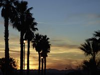 Los Angeles: A Night in the Desert Landscape