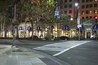 the intersection at night with trees on both sides and streetlights on the side of it