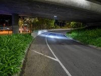 the road under a freeway has lots of green bushes along the side of it at night