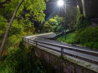 the road is winding in to a tunnel that runs around a hill with lush green trees around it