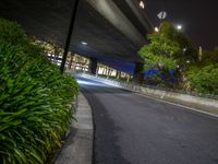 a road that goes under a bridge at night, with plants on either side of it