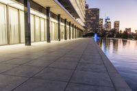 Los Angeles Night Skyline: Reflections of a Metropolitan City