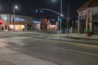 Los Angeles Night on Suburban Street