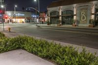 a street that has some bushes on the side of it with a store front and two buildings