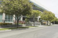 several trees are growing along the side of the road at an office building entrance or parking lot